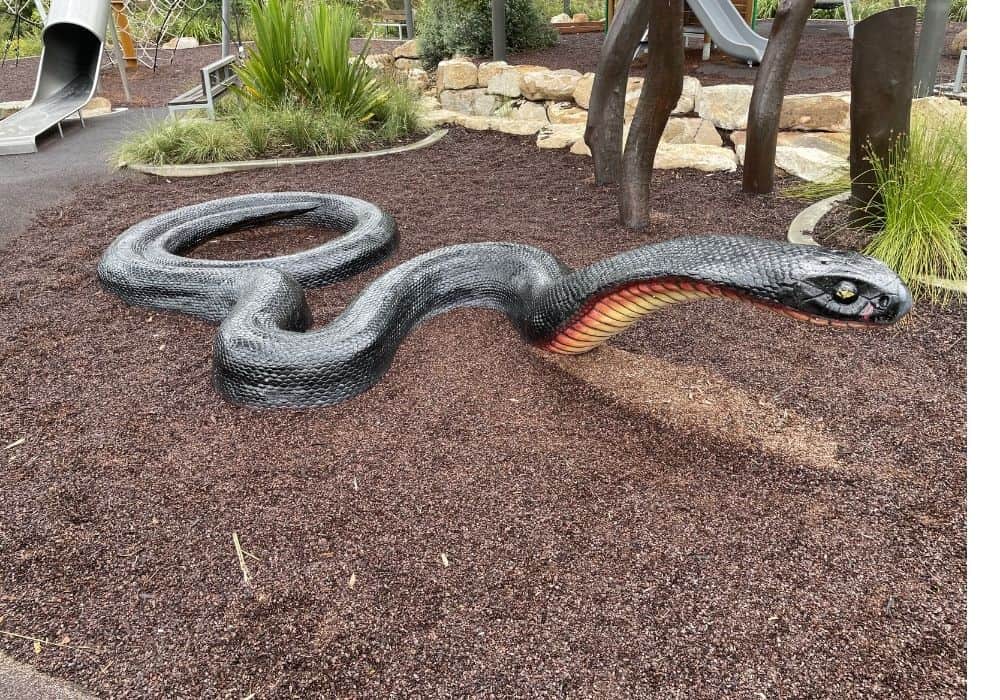 kids park on the gold coast