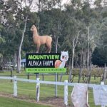 Mountain View Alpaca Farm, Canungra